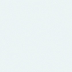 Blank.jpg